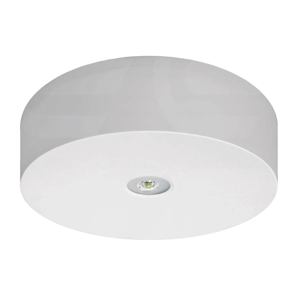 Oprawa AXN IP65 ECO LED 1W 140lm(opt. koryt.) 1h jednozadaniowa AT biała