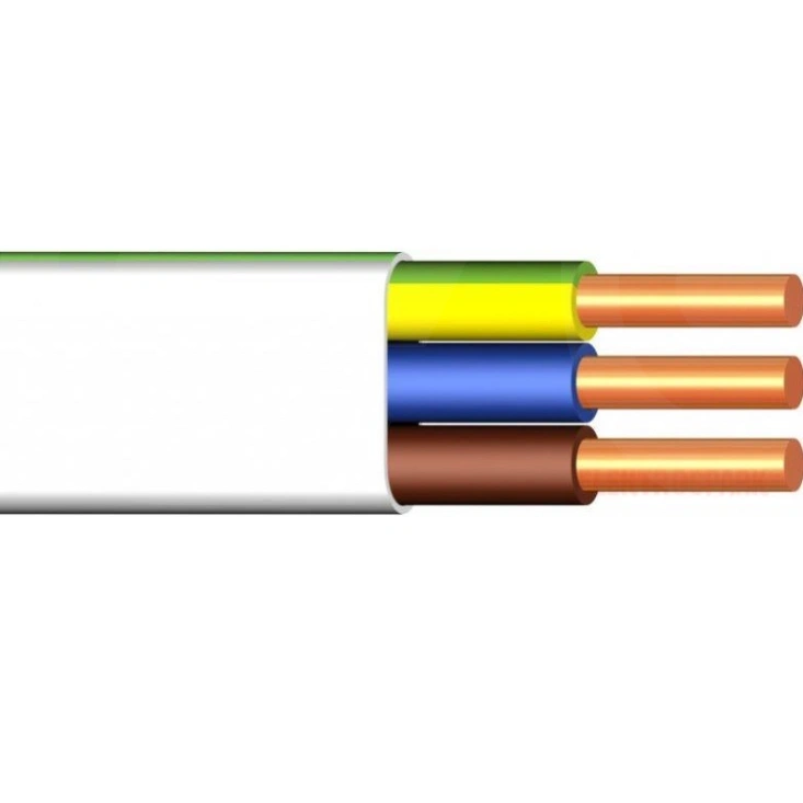 PRZEWÓD YDYpżo 3x6 MM2 450/750V
